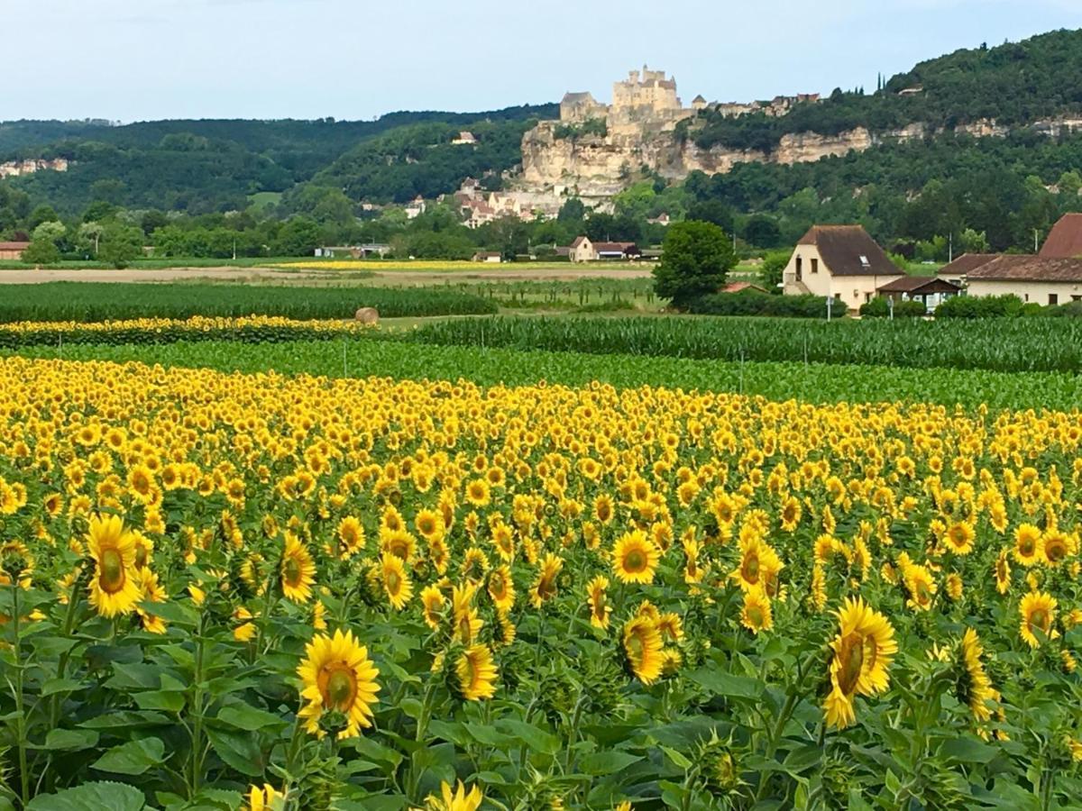 Hotel La Source, Beynac, Dordogne Zewnętrze zdjęcie